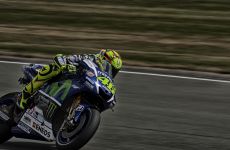 rossi-web.jpg